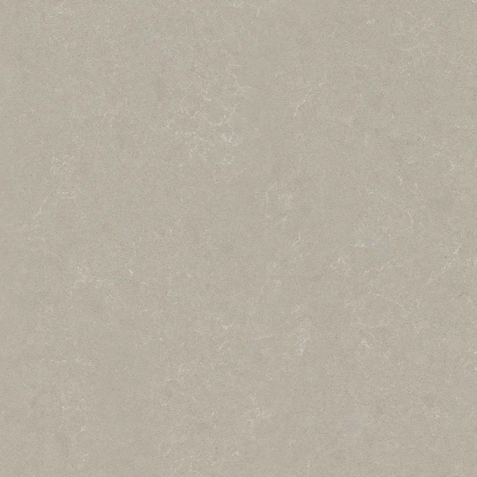 Noble Ivory White
